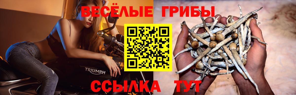 Псилоцибиновые грибы Magic Shrooms  Галлюциногенные грибы Psilocybe  Южноуральск  Вход с VPN 